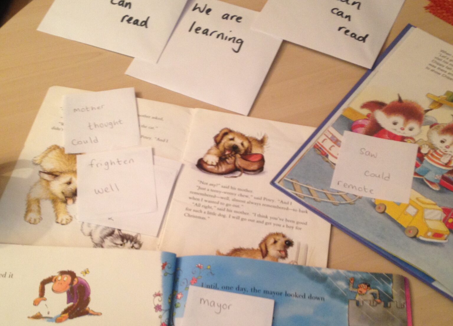 Teaching Home Learners to Read