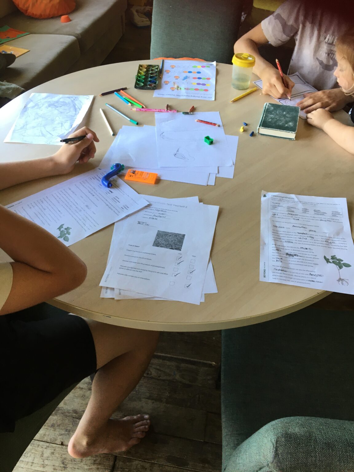 Planning a Homeschool Curriculum: What? Why? How?