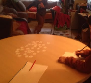 6 Tips for Accommodating Neurodiversities in Home-Ed Let them move!