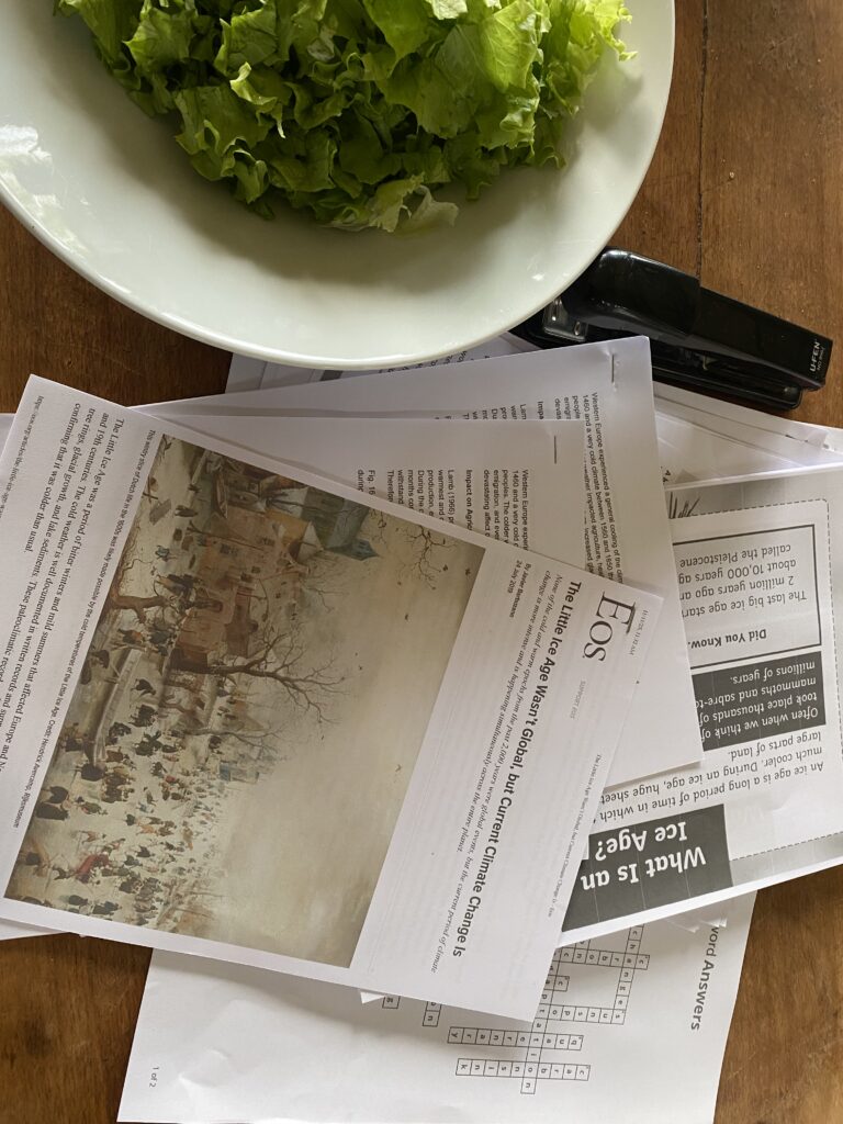 Home education worksheets and research printouts on a kitchen table alongside a bowl of lettuce