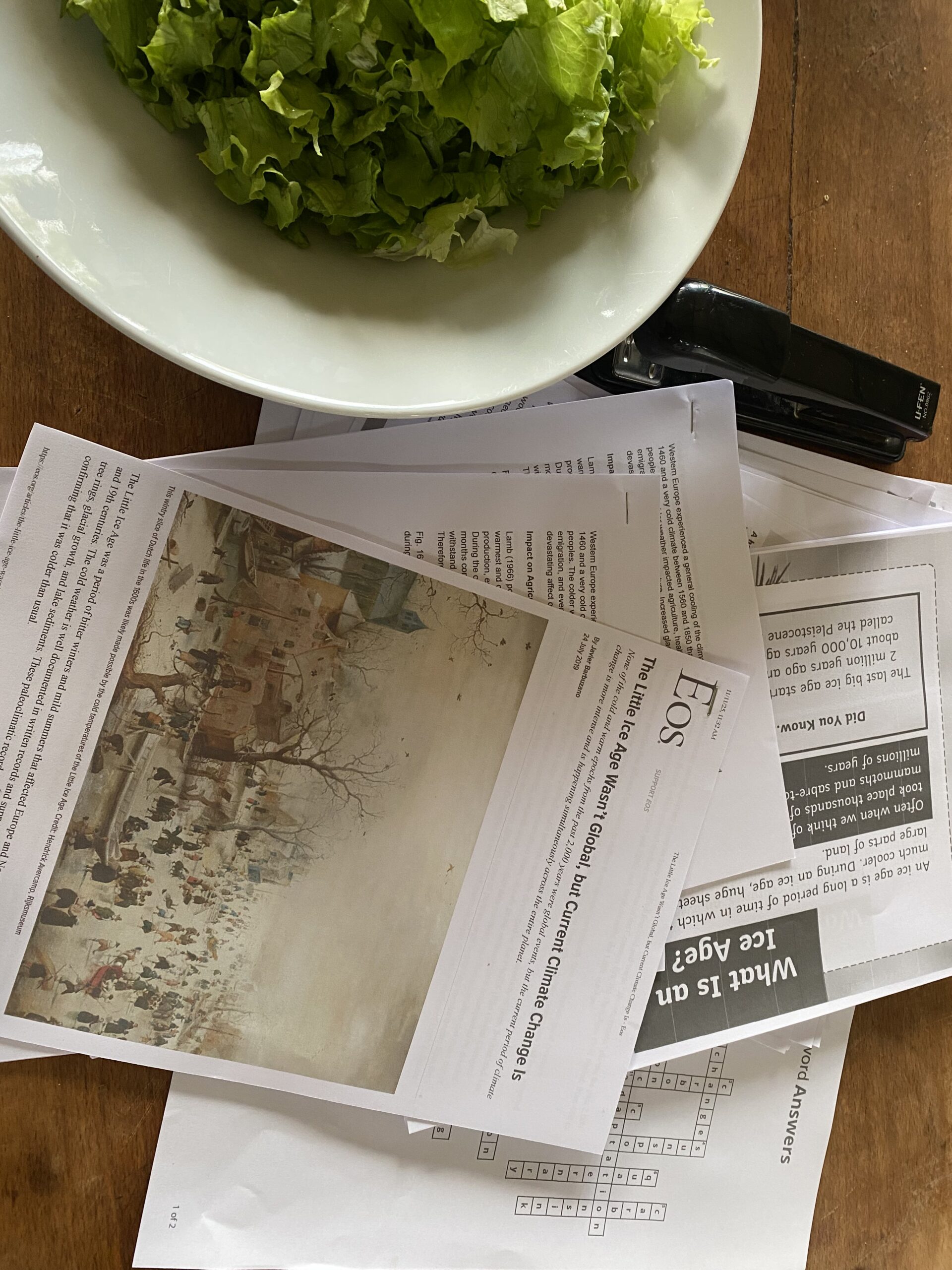Home education worksheets and research printouts on a kitchen table alongside a bowl of lettuce